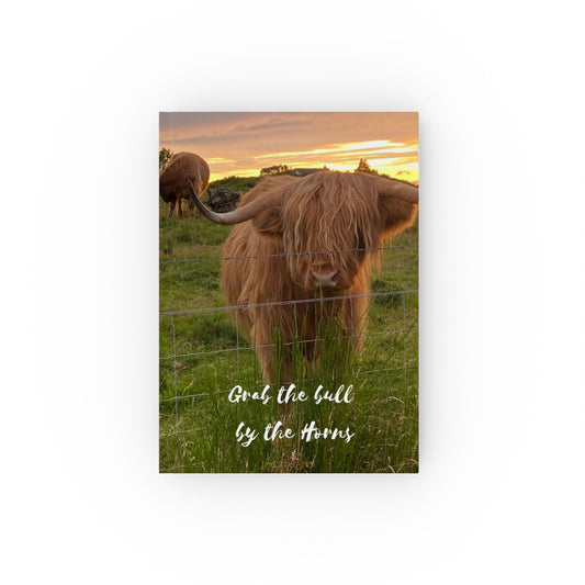 Grab The Bull By The Horns  Hard Backed Notebook