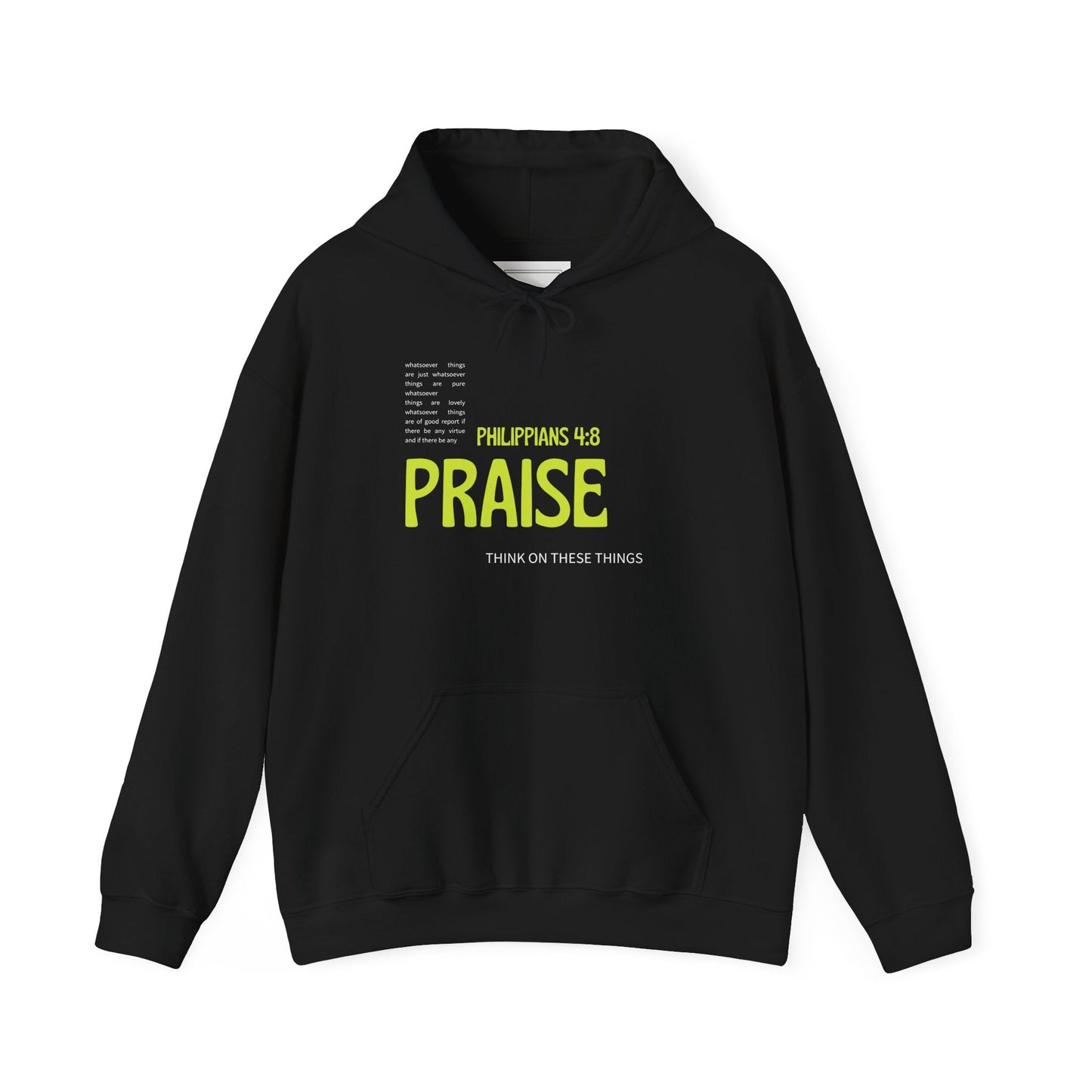 Philippians 4:8 Whatever is Praiseworthy Hoodie
